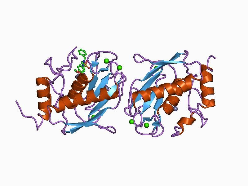 File:PDB 1d8m EBI.jpg