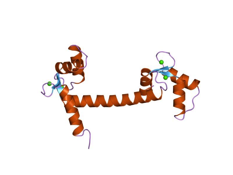 File:PDB 1osa EBI.jpg