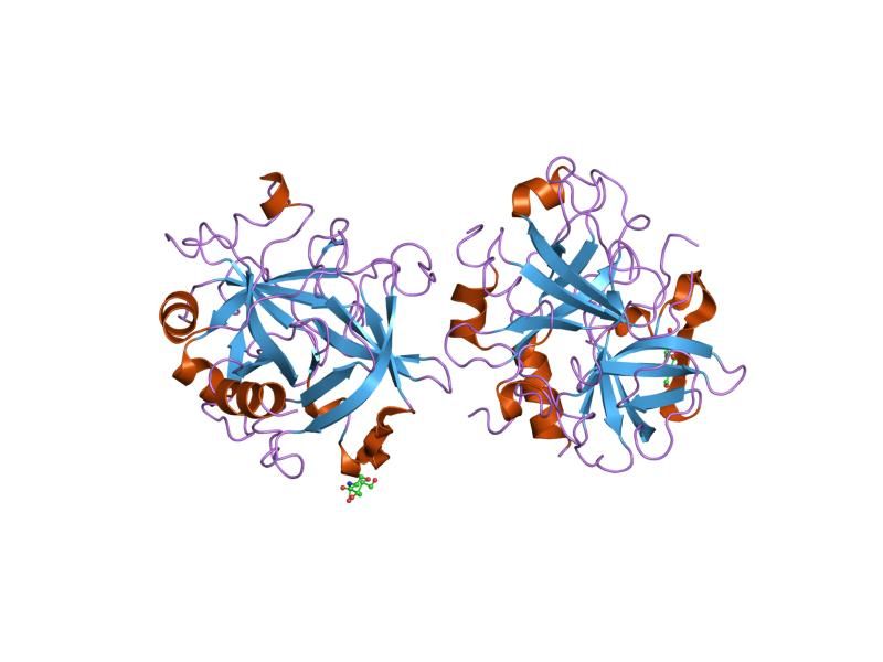 File:PDB 1sgi EBI.jpg