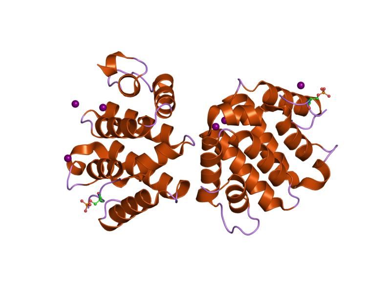 File:PDB 1ujk EBI.jpg