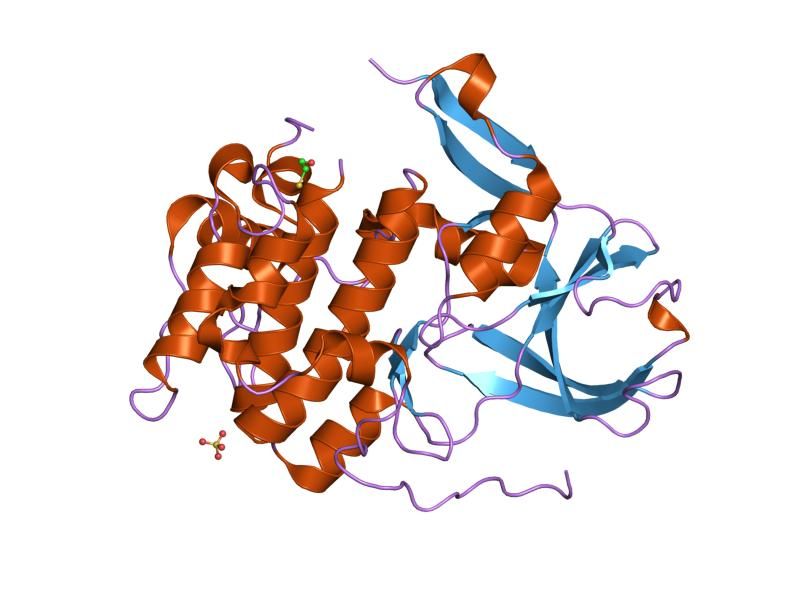 File:PDB 1vzo EBI.jpg