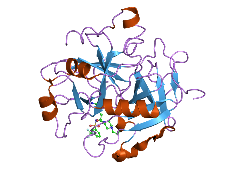 File:PDB 1w7g EBI.png