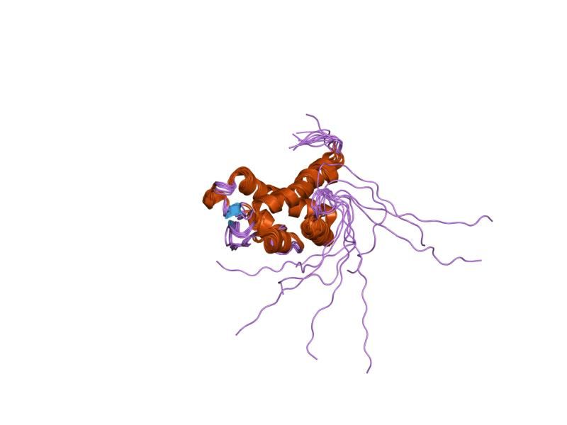 File:PDB 2d5u EBI.jpg