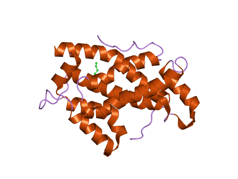 File:PDB 2evt EBI.png