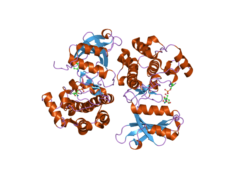 File:PDB 2f57 EBI.png