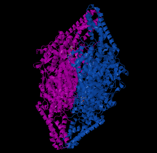 File:Phenylalanine ammonia lyase.png