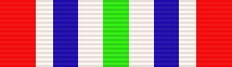 File:SCSG Individual Achievement Ribbon.jpg