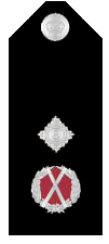 File:Vic-police-deputy-commissioner.png