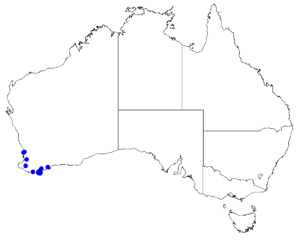 File:Boronia crassipes DistMap26.png