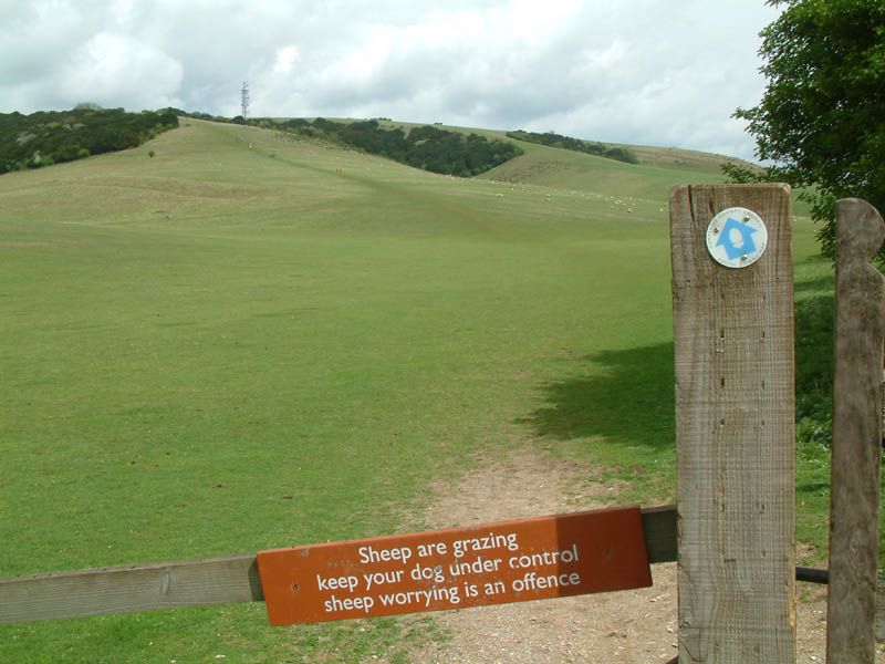 File:Butser Hill.jpg