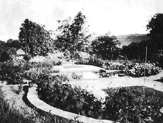 File:Ilaro Court new garden 1925.jpg