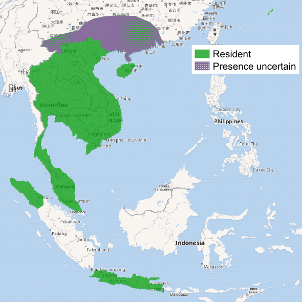 File:JavanMongoose distribution.png