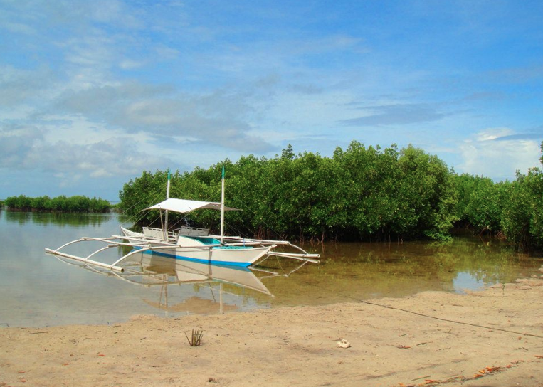 File:Mangroves of Bohol.png