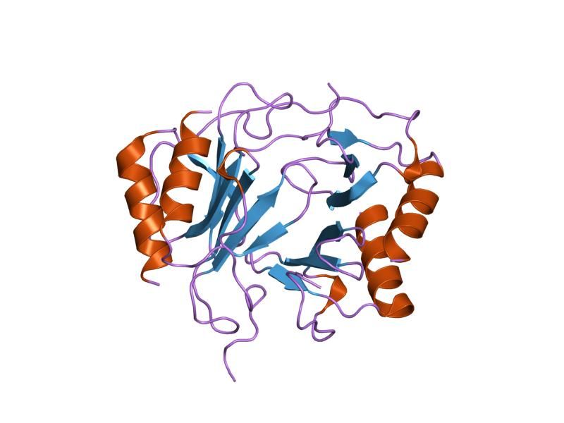 File:PDB 1f9r EBI.jpg