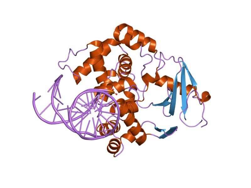 File:PDB 1lwy EBI.jpg