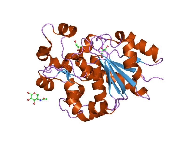 File:PDB 1pja EBI.jpg