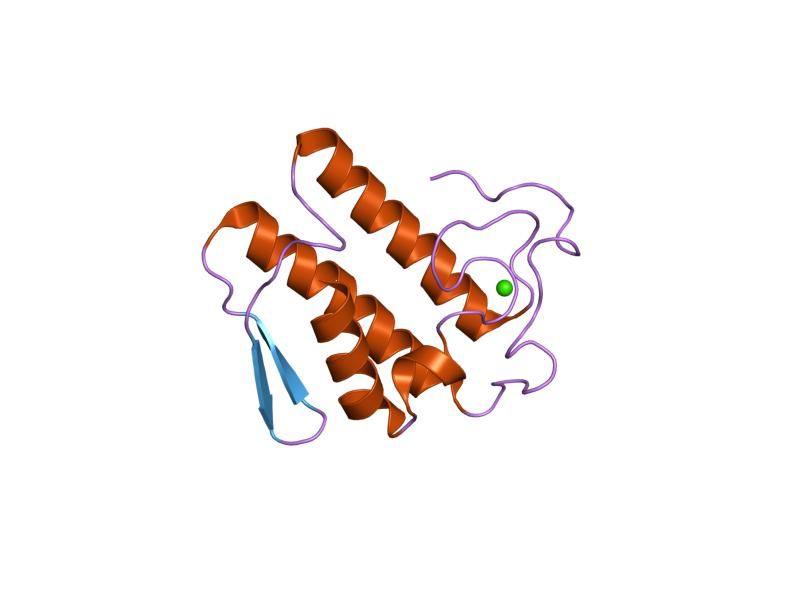 File:PDB 1pod EBI.jpg