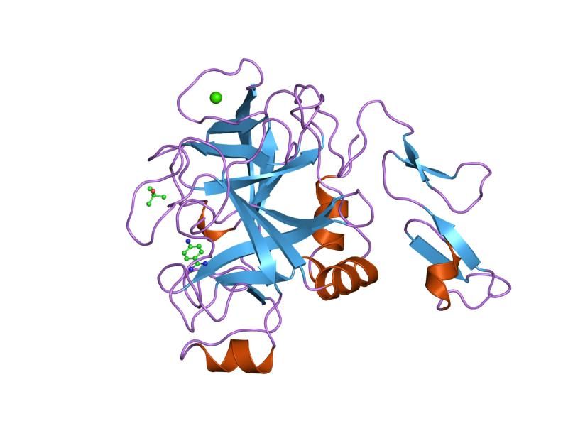 File:PDB 1rfn EBI.jpg