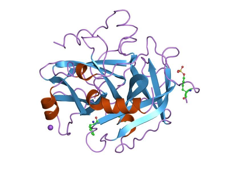 File:PDB 1tbz EBI.jpg