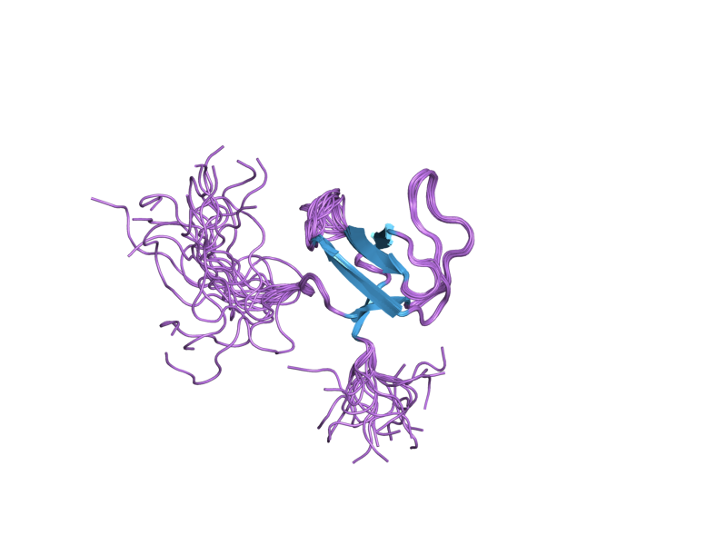 File:PDB 1x6g EBI.png