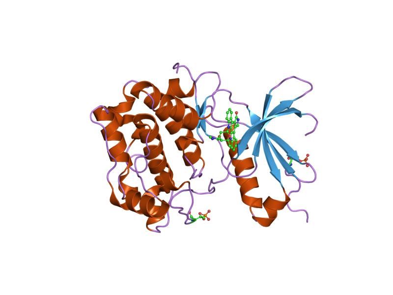 File:PDB 1xjd EBI.jpg