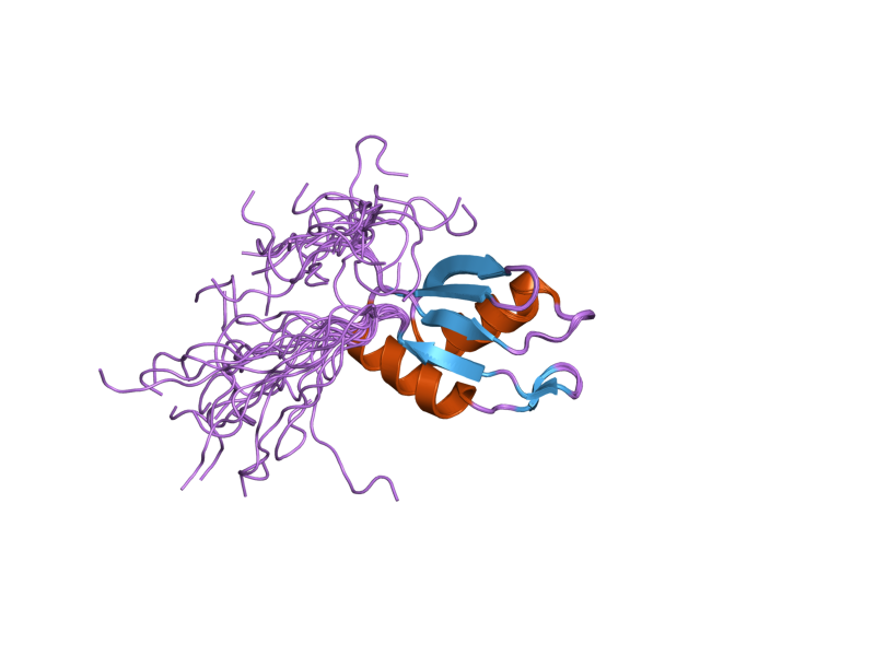 File:PDB 2dnp EBI.png