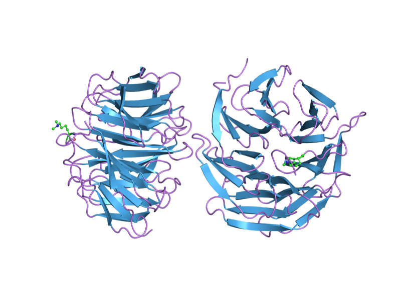 File:PDB 2h6n EBI.png