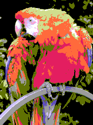 File:Parrot appleii.png