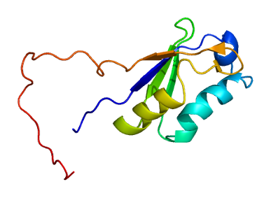 File:Protein DSCR1 PDB 1wey.png