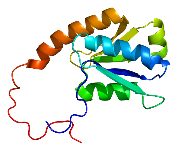 File:Protein NCOA5 PDB 1v95.png