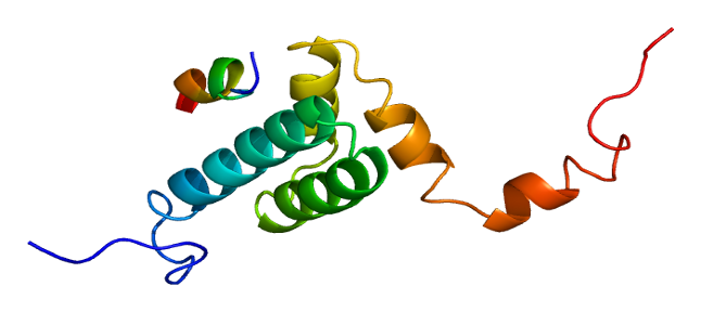 File:Protein TOMM20 PDB 1om2.png