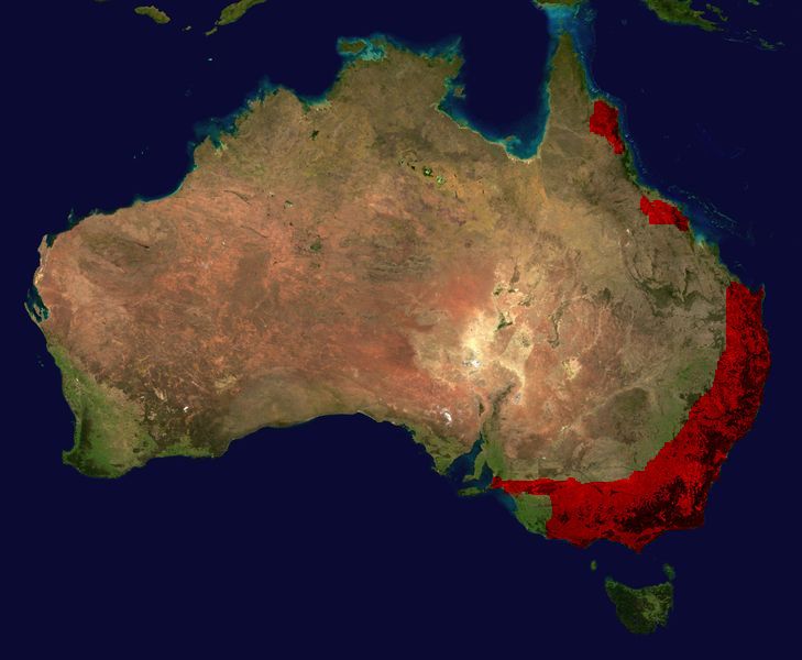 File:Red-Bellied Range.jpg