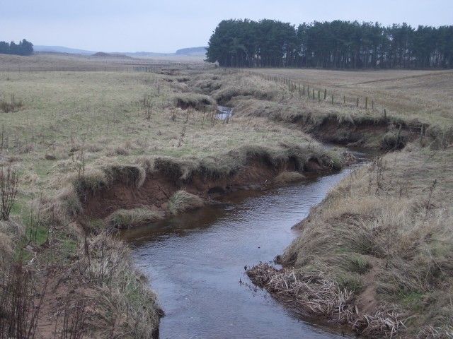 File:South Medwin - geograph.org.uk - 121080.jpg