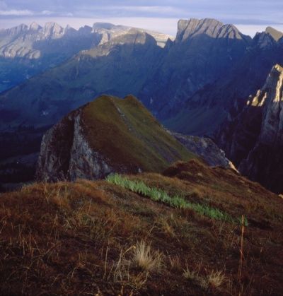 File:Tisch des Berges.jpg