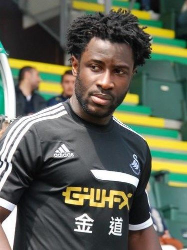 File:Wilfried Bony (2013).JPG