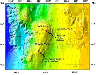 File:Hydrate ridge.jpg