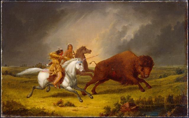 File:Kane-Assiniboine Hunting Buffalo.jpg