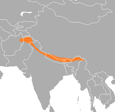 File:Lophophorus impejanus range map.png