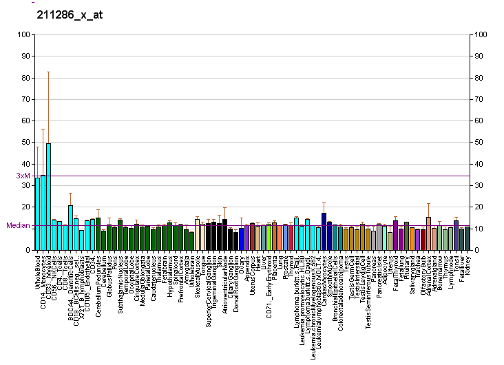 File:PBB GE CSF2RA 211286 x at fs.png