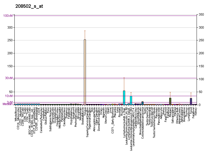 File:PBB GE PITX1 208502 s at fs.png