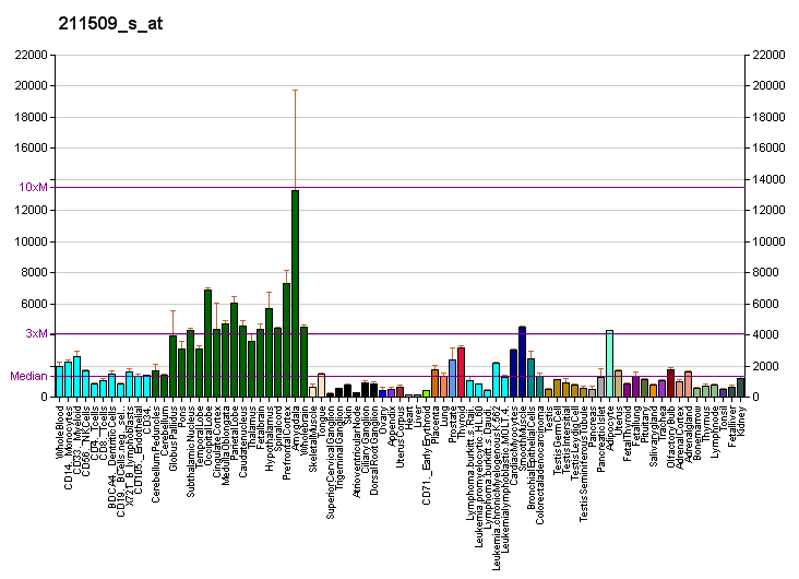 File:PBB GE RTN4 211509 s at fs.png