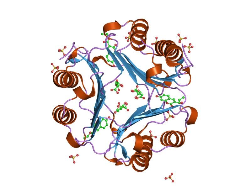 File:PDB 1gcz EBI.jpg