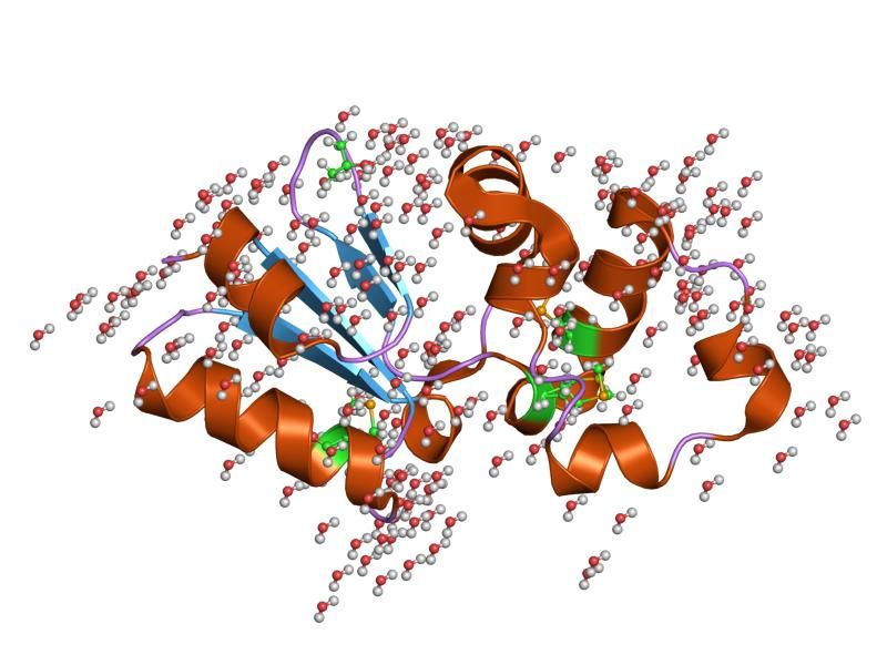 File:PDB 1rw1 EBI.jpg