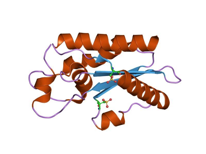 File:PDB 1smb EBI.jpg