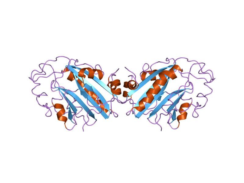 File:PDB 1smn EBI.jpg