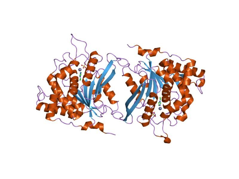 File:PDB 2afz EBI.jpg