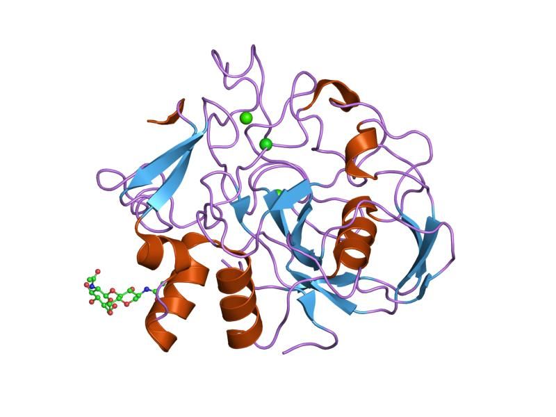 File:PDB 2aij EBI.jpg