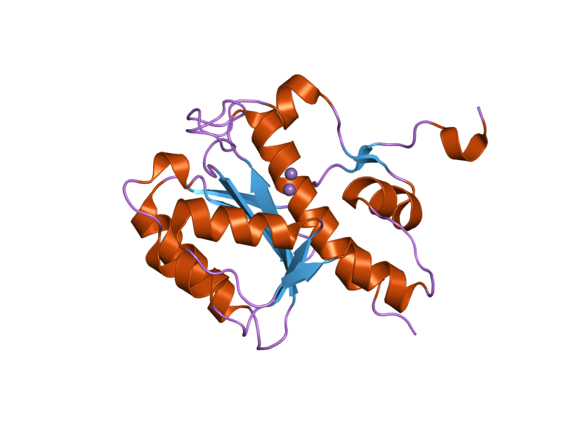 File:PDB 2fbv EBI.png