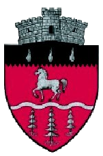 File:ROU SV Brodina CoA.png