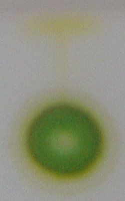 File:Chromatography of chlorophyll - Step 2.jpg